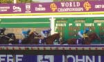 Photo of the Breeders Cup at Monmouth Park