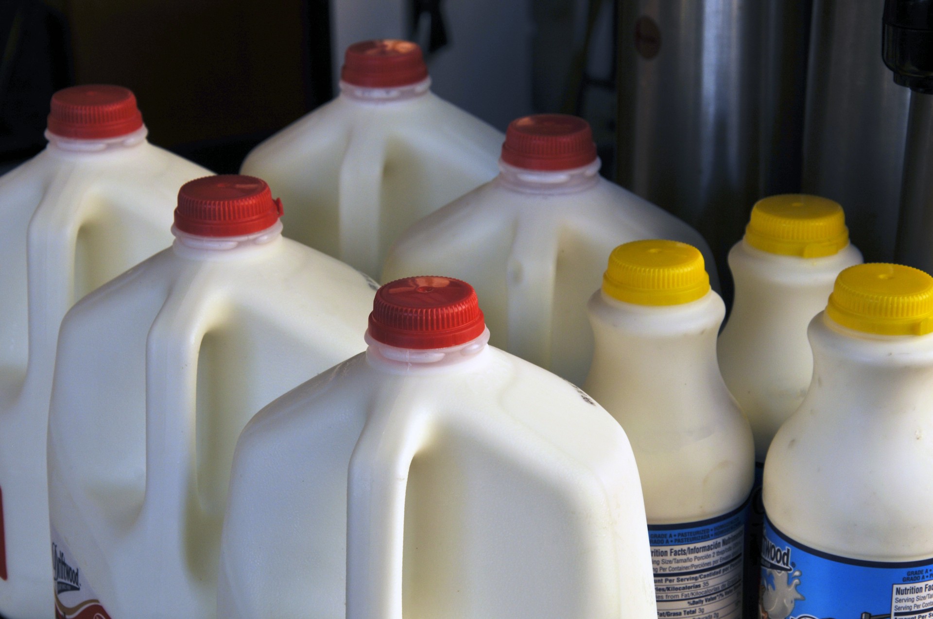 Closed plastic gallons and half gallons of milk