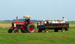 Photo of hayride at pick-your-own farm