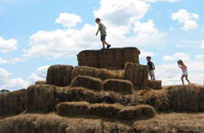 Hay Bales