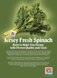 Photo of spinach ad - Click to enlarge