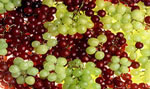 Wine Grapes