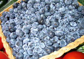 Photo of Jersey blueberries - Click to enlarge