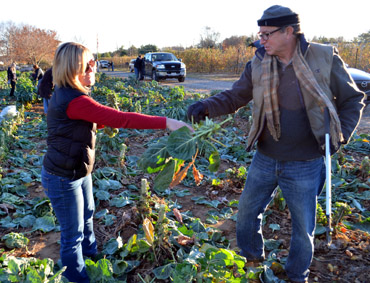 Photo of Kristina Guttadora and Secretary Fisher gleaning Brussels sprouts