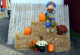 Photo of fall display - Click to enlarge
