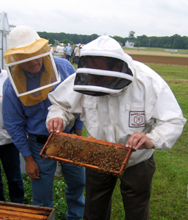 Photo of Secretary Fisher holding bee frame