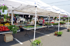 Photo of the Hasbrouck Heights Farmers Market - Click to enlarge