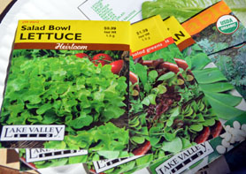 Photo of seed packets - Click to enlarge