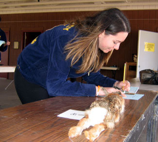 Photo of student participating in identification event.