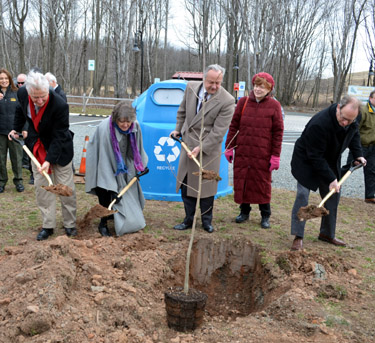 Photo of Asian longhorned beetle ceremonial tree planting