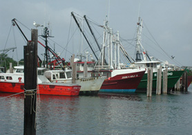 Photo of Fishing Village - Click to enlarge