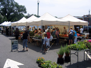 Operating a Farmers' Market