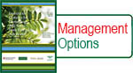 Management Options