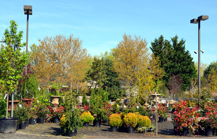 Photo of a New Jersey garden center