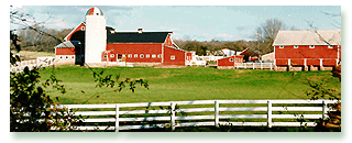 Farm