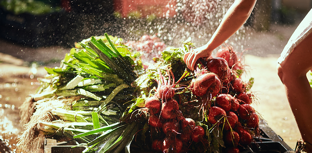 Pile of beets : Photo