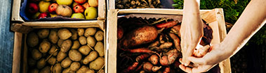 produce market