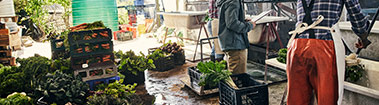 produce market