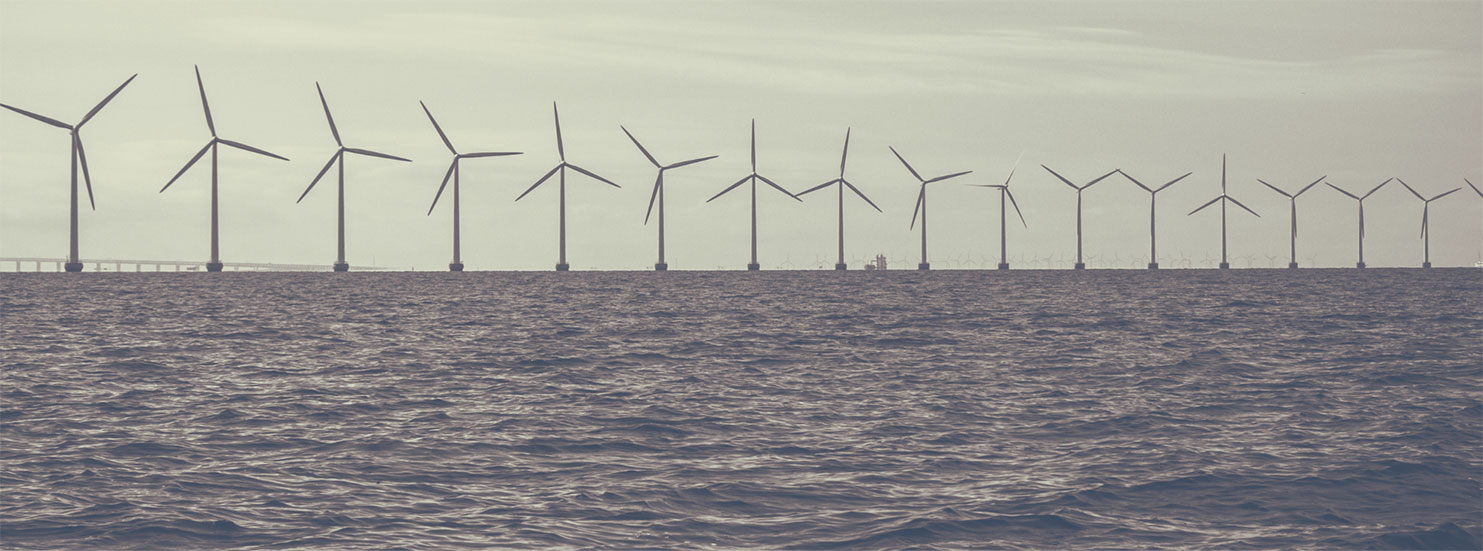 photo: row of wind  turbines on a water