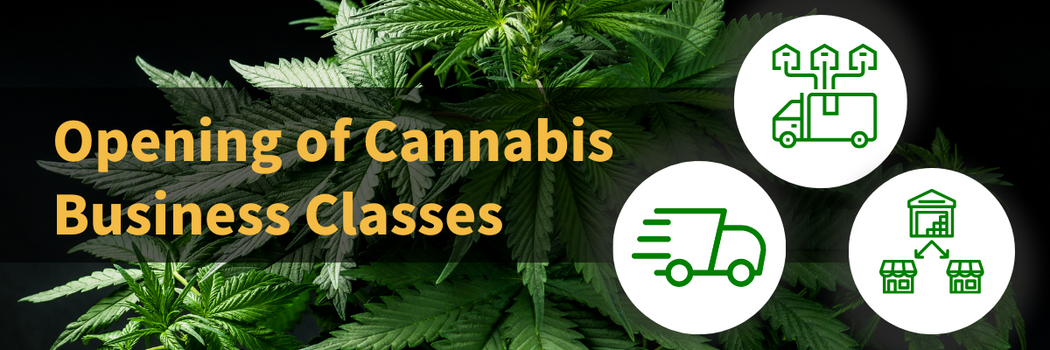 Opening﻿ of Cannabis Business Classes 