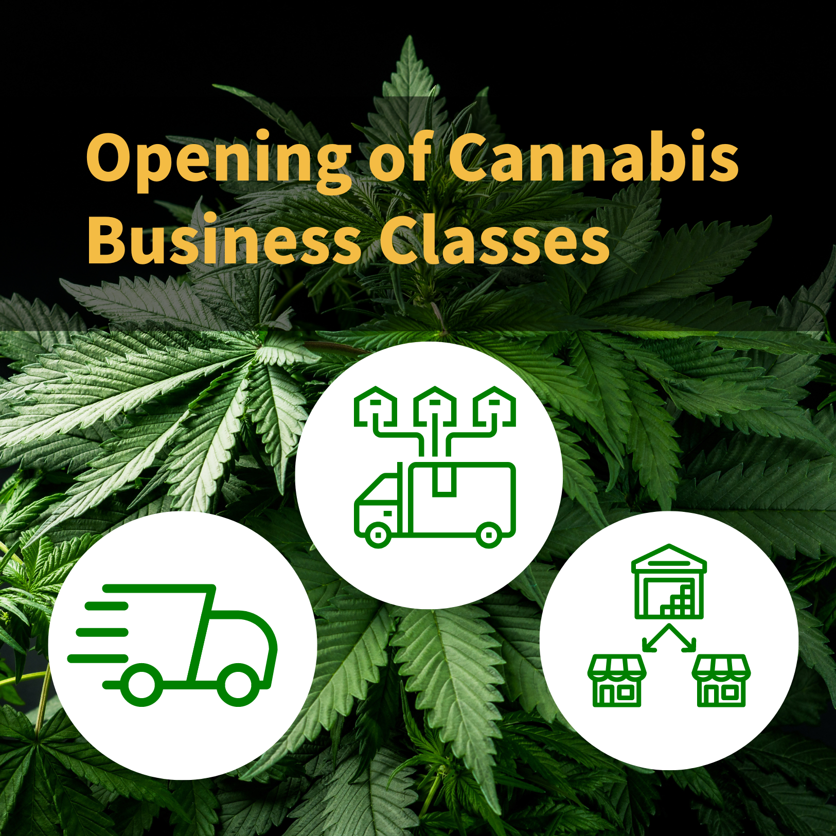 Opening of Cannabis Business Classes - NJ-CRC