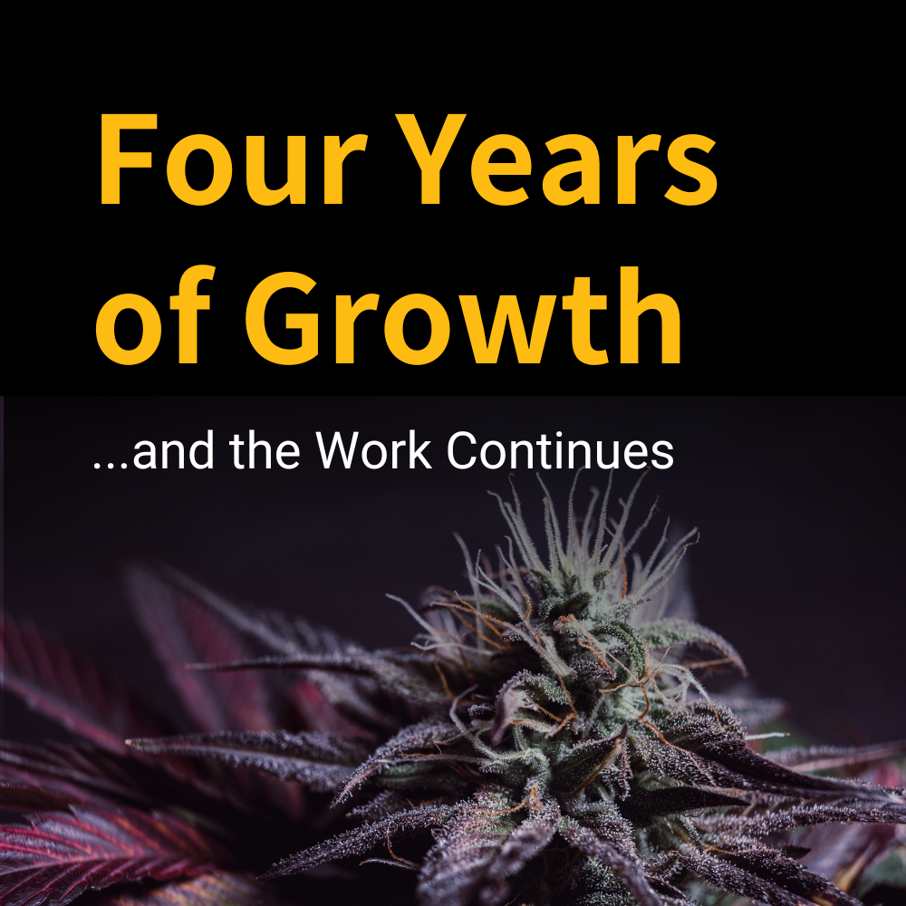 Cannabis Testing Guidelines and How to Read a Certificate of Analysis