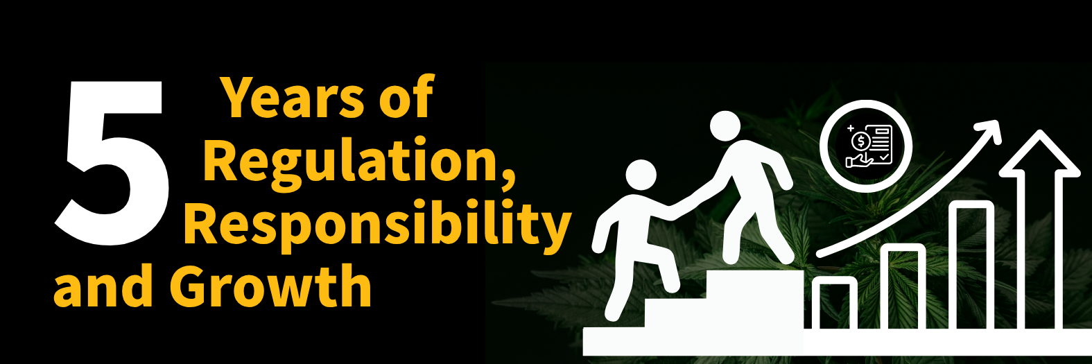 Five years of regulation, responsibility, and growth