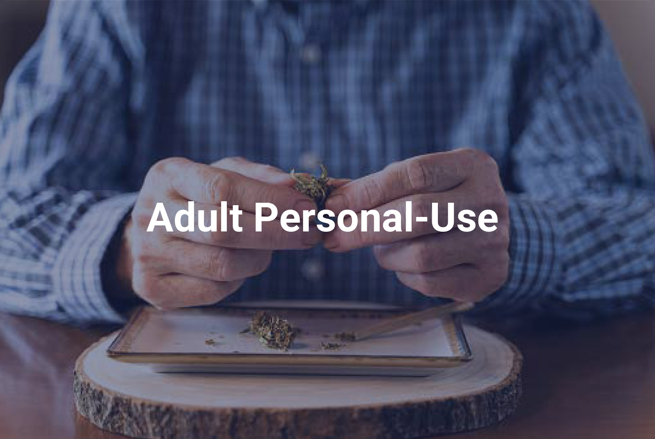Adult Personal-Use