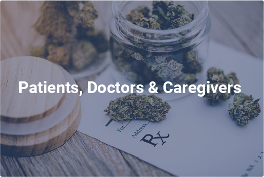 Patients, Doctors, & Caregivers