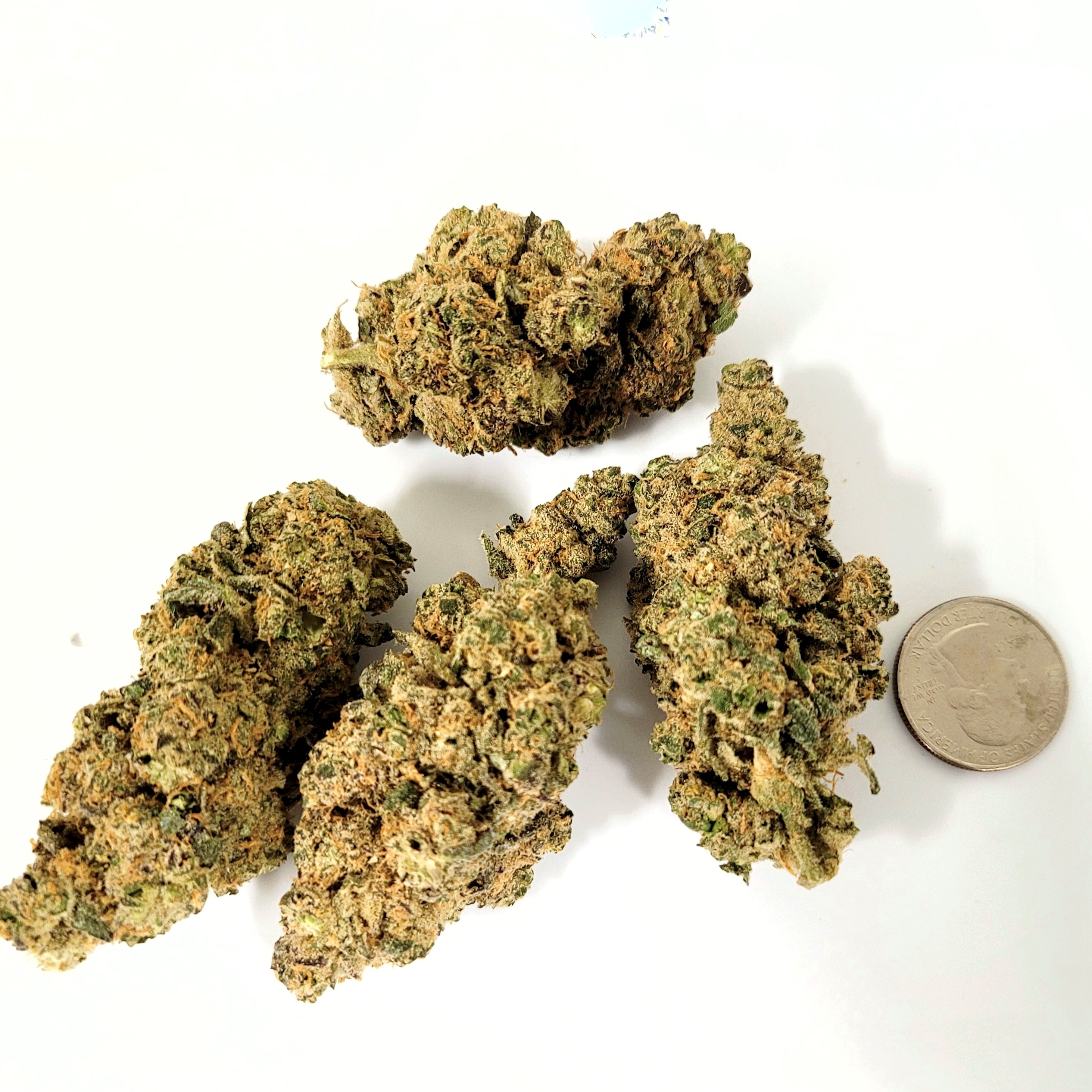 a half an ounce of cannabis