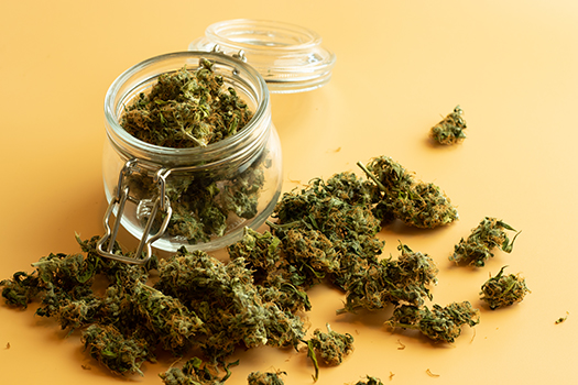 Jar of cannabis flower buds : PHOTO