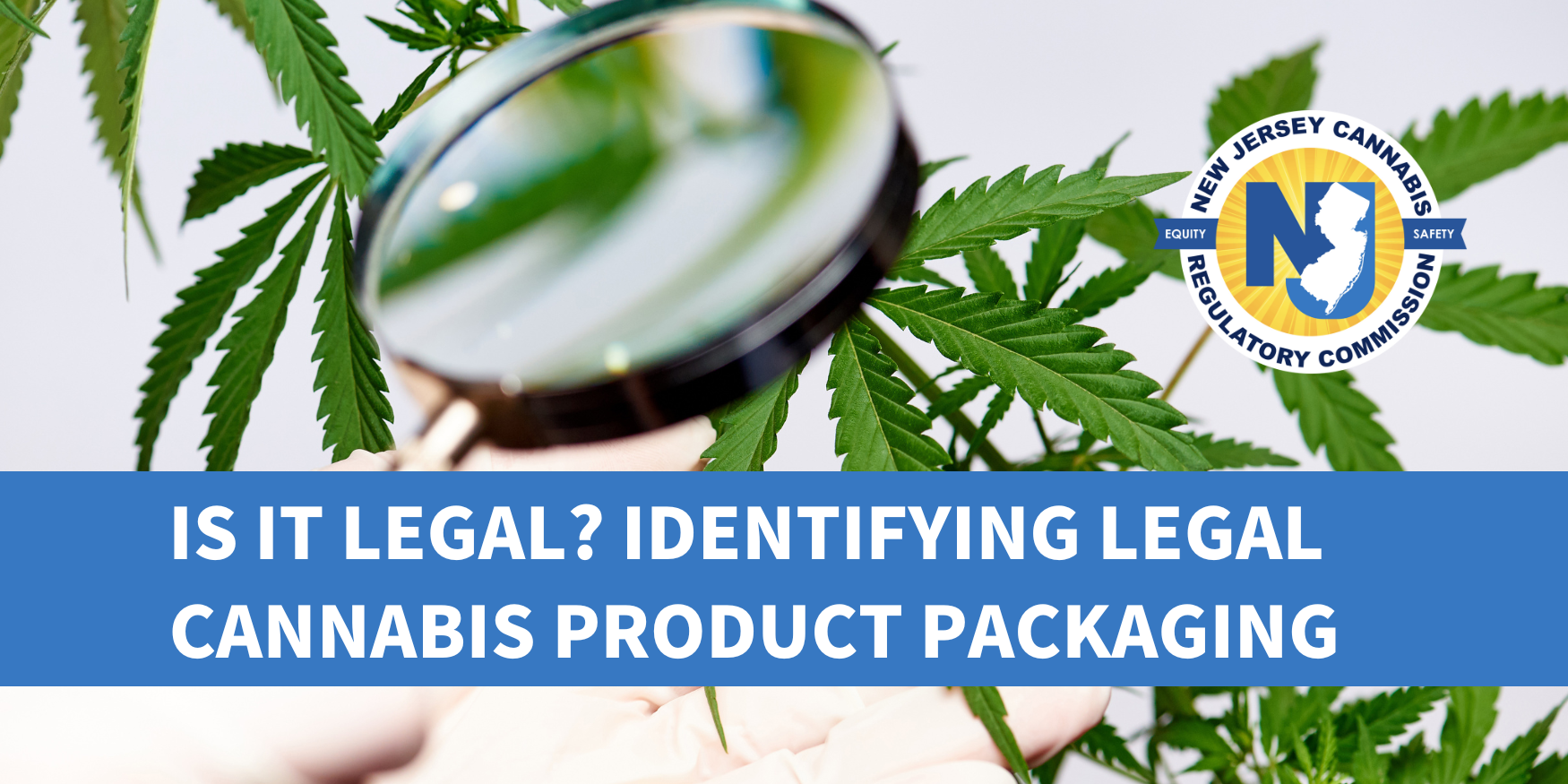 How to Identify Legal Cannabis Products