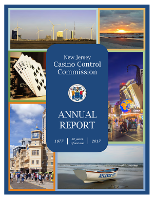2017 Annual Report