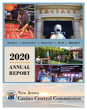2020 Annual Report