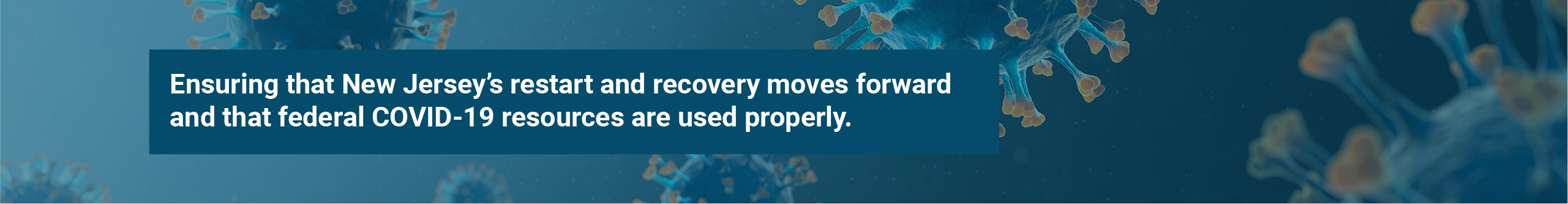 Banner: Ensuring that New Jerset's restartand recovery moves forward and that COVID19 resources are use properly