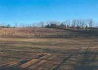 Black Creek Site