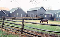 Longstreet Farm