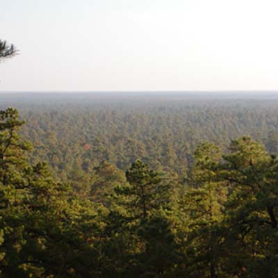 Protecting the Pine Barrens