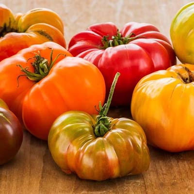 tomatoes