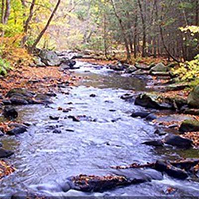 The freshwater Black River runs through Hacklebarney State Park, in Washington Township, Morris County.