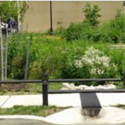 A rain garden in Camden manages rainwater and collects runoff from the adjacent street through a curb cut.