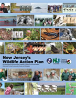 Wildlife Action Plan