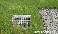 Stormwater Impacts