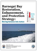 Barnegat Bay Strategy Thumbnail