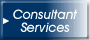 Consultant Services