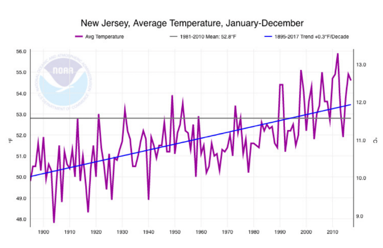 NJ Average Temperature