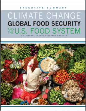 Global Food Security
