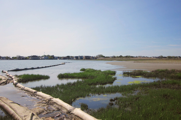 NJ Climate Change Mitigation Living Shorelines