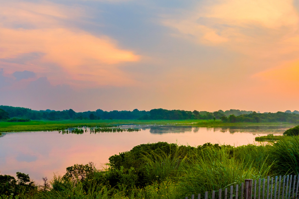 NJ Climate Change Mitigation Salt Marsh