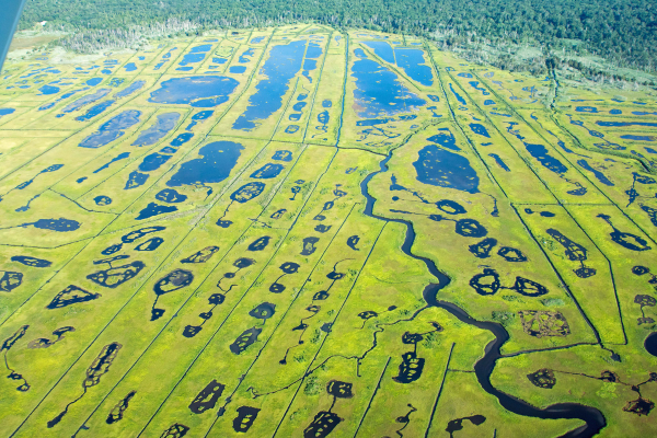 NJ Climate Change Mitigation Wetlands